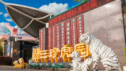 三珍虎园第 9 张图片
