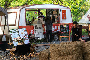 大象露营Elephant Camping