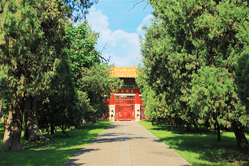 曲阜三孔景区第 95 张图片