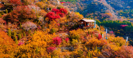 青铜山大峡谷第 109 张图片