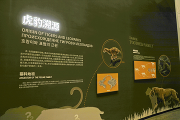 珲春东北虎豹自然科普馆第 15 张图片