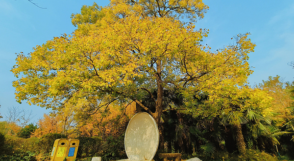 郑州黄河文化公园