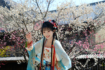 东山问梅村第 16 张图片