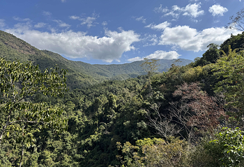 霸王岭第 44 张图片