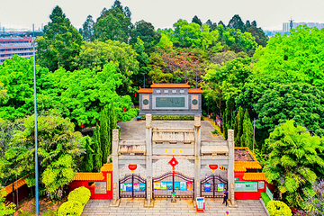 三水森林公园第 18 张图片