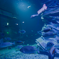 金昌海辰海洋乐园