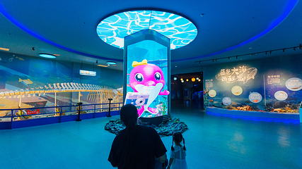 福州罗源湾海洋世界旅游区第 13 张图片