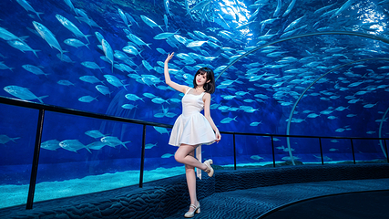 上海海洋水族馆第 7 张图片