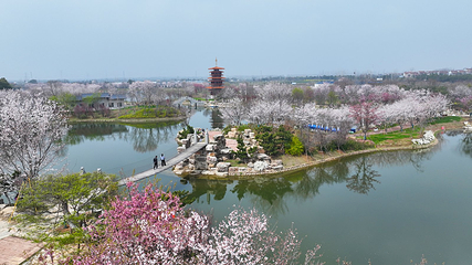 紫薇都市田园第 37 张图片