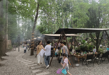 清水里森林营地第 35 张图片