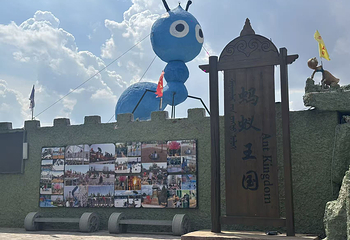 蚂蚁王国第 5 张图片