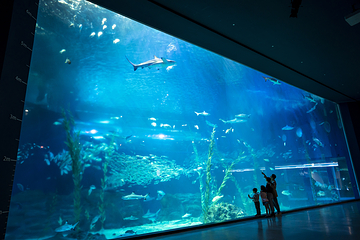 济州岛Aqua Planet水族馆第 59 张图片