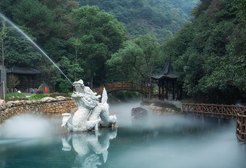 龙坞仙境第 58 张图片