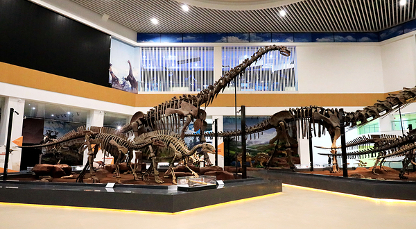 刘家峡恐龙国家地质公园