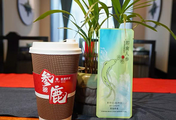 参中堂景区第 16 张图片
