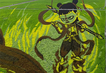 闫家岗稻田画第 17 张图片
