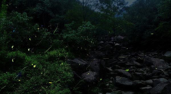 成都天台山旅游景区