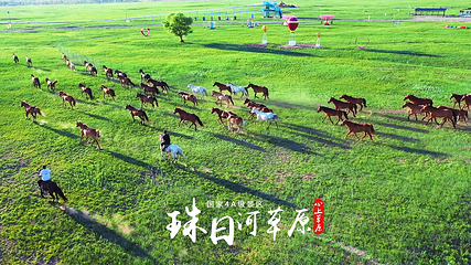 珠日河草原旅游区第 6 张图片