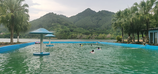 天湖鹭鸟生态风景区第 16 张图片
