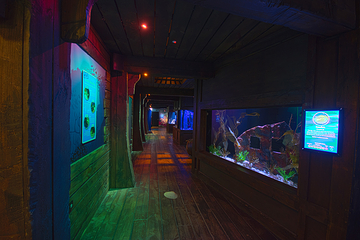 阳光海岸水族馆第 22 张图片
