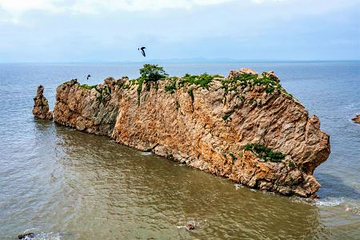 蛤蜊岛第 18 张图片