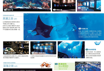 冲绳美丽海水族馆第 3 张图片
