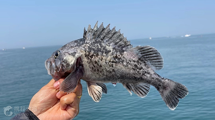 嘉源海钓俱乐部第 3 张图片