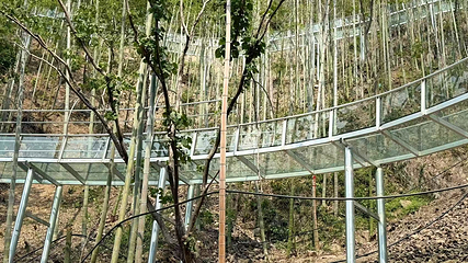 安吉隐将谷瀑布漂流第 30 张图片