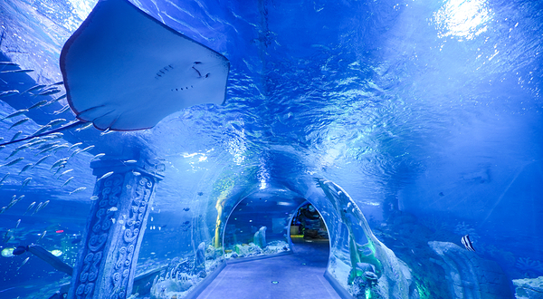 深圳恒远海立方环游城