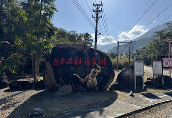 霸王岭第 36 张图片