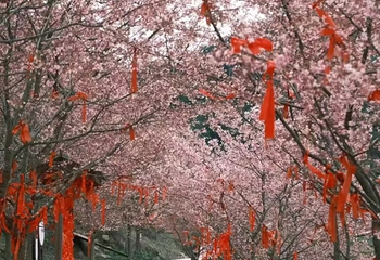 钱来山景区第 68 张图片