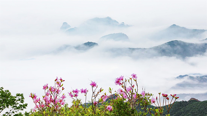 祖山风景区第 127 张图片