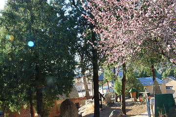 北京后花园(白虎涧)风景区第 16 张图片