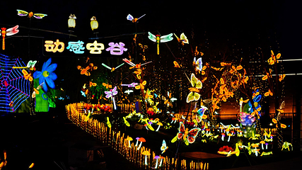 哒哒岛旅游度假区第 29 张图片