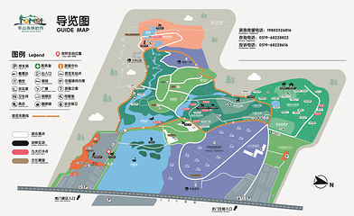茅山森林世界第 3 张图片