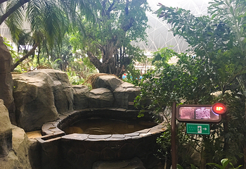 菲奢尔海景温泉第 126 张图片