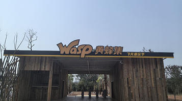 黄蜂集飞天潮玩节