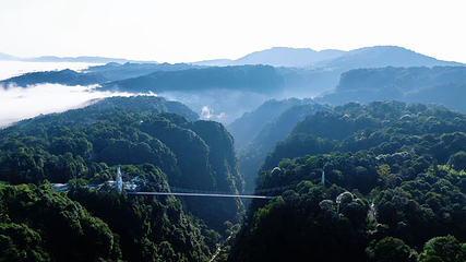 碧峰峡野生动物世界第 161 张图片