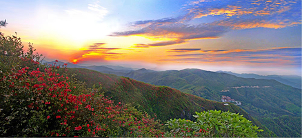 阳明山国家森林公园