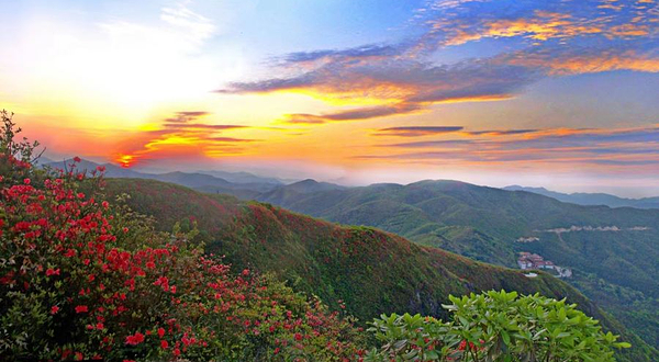 阳明山国家森林公园