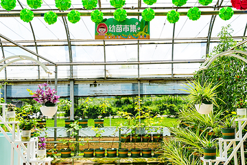 厚承陈皮文化生态园第 46 张图片