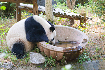 安吉竹博园第 66 张图片