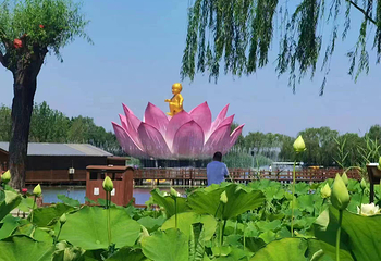 荷花大观园第 23 张图片