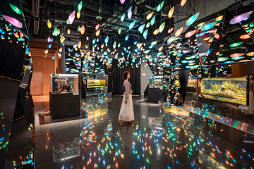 神户都市型水族馆 AQUARIUM×ART átoa第 9 张图片