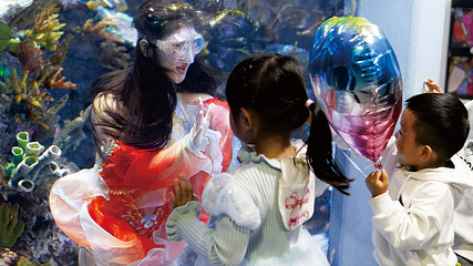 海滨城浩海立方海洋公园第 65 张图片