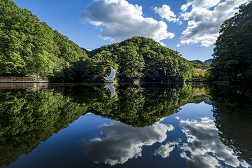 洛阳白云山风景区第 51 张图片