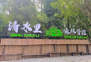 清水里森林营地第 27 张图片