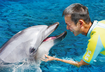 新江之岛水族馆第 4 张图片