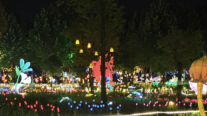 湘江花月夜·长沙夜游灯会第 11 张图片