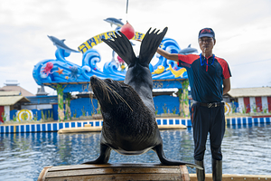 分界洲岛景区-海洋剧场